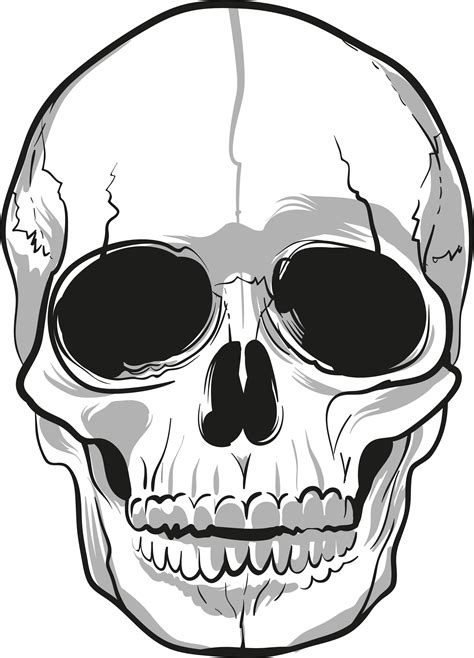 skull png